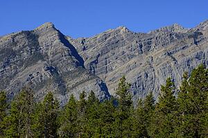 Mountain backdrop