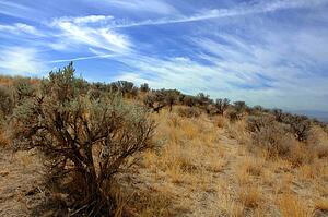 A barren land