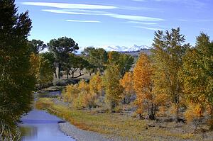 Autumn scenic