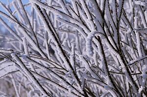 Closeup of hoarfrost