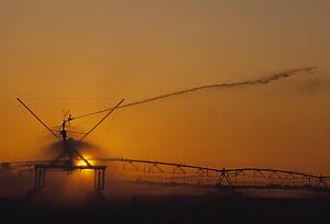 Irrigation system in field