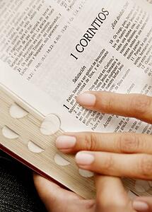 Reading a Bible