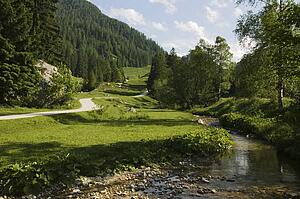 Alpine landscape with stream