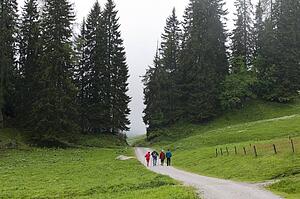 Alpine hikers walk down mountain path