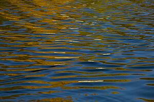Ripples in water