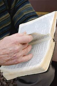 Senior reading Bible
