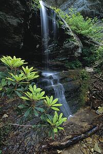 Quiet waterfall
