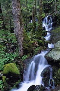 Waterfall pouring down mountainside
