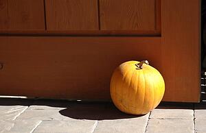 A lone pumpkin