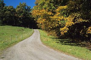 Scenic country road