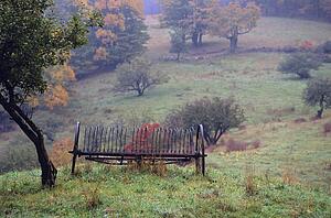 Old Hay Rake