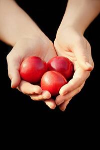 Hands full of red fruit