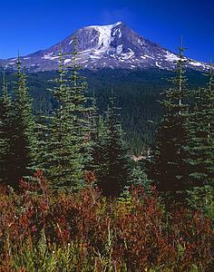 Mount Adams, Gifford Pinchot National Forest