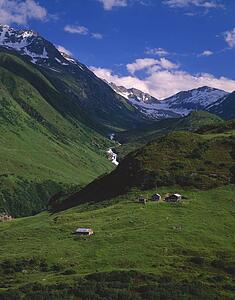 Farm in the valley with Swiss Alps in background