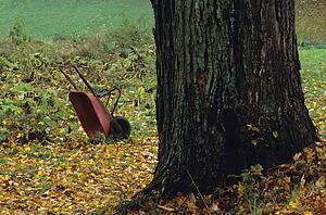 Wheelbarrow not in use