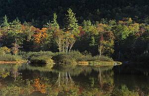 Willey Pond, Crawford Notch White Mountains