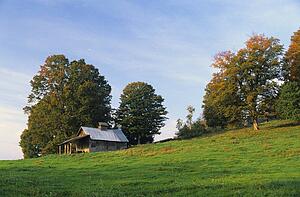 Old Sugar Shack 