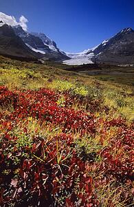 Columbia Icefields, Banff National Park