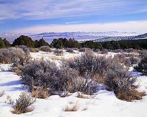 A high desert winter landscape, Great Basin National Park