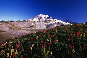 Paradise Park Valley, Mount Rainier National Park