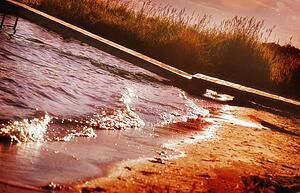 Shoreline and dock