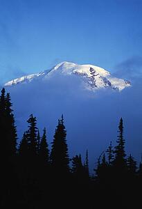 Fog on Mowich Face, forest silhouettes, Mount Rainier National Park.