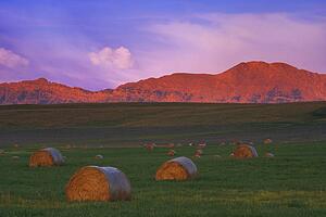 Sunrise in the foothills