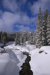 Wilderness creek