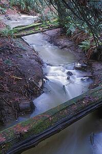 Bridges across winding stream