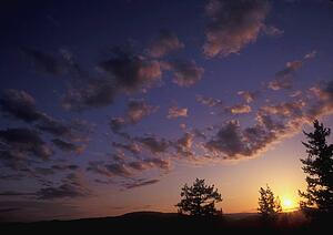 Scenic sunset 