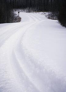 Snowy path