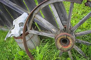 Wooden wagon wheel and skull