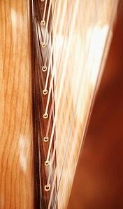 Closeup of harp