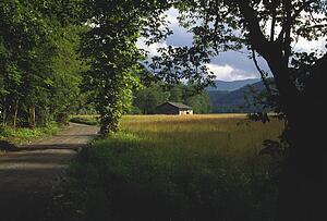 Forest shadow, distant cabin, Cataloochee Cove, Great Smoky Mountains National Park