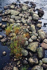 Rocks on Oswegatchie river, below Cranberry Lake.