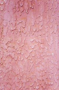 Textured pink wall