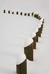 Posts covered with freshly fallen snow