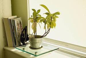 Window sill