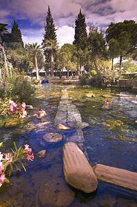 Natural Hot Spring