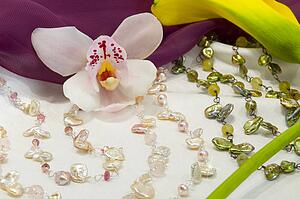 Orchid still life