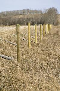 Rural Fence Posts