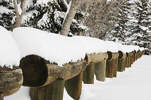 Snow piled on log fence
