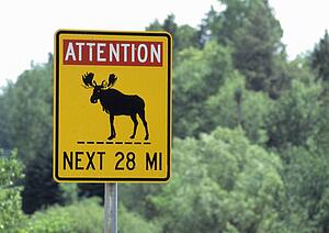 Moose crossing sign