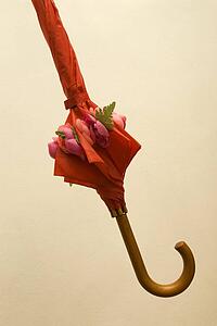 Decorative Umbrella