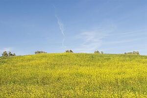Hillside with blue sky