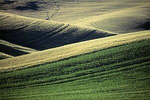 Rolling hills