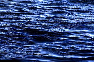 Water