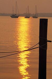 Sailboats at sunset