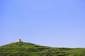 Sheep resting on grassy hill