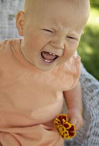 Temper tantrum